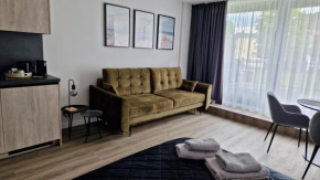 Butas su terasa in Palanga